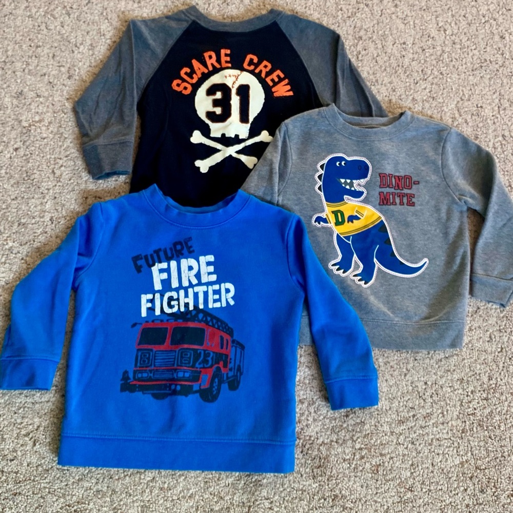 Scare Crew, Dino-Mite, & Fire Fighter Kids Sweatshirts - Black, Blue & Gray